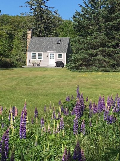 Honeymoon Cottage (pet-friendly)