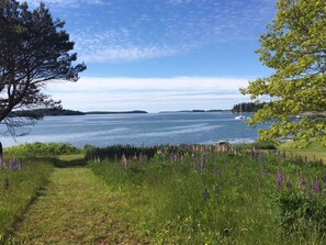 On the beach, sun-loungers