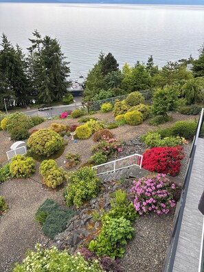 Terrain de l’hébergement 