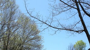 A gravel path leading to a wooden building with a clear sky and leafless trees. - Spacious Sugarbush Retreat - Wood Stove, Outdoor Pool, 5 Mins to Sugarbush (Warren)