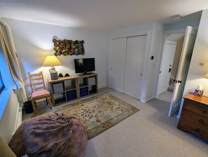 Ett rum med en tv, en lampa, en stol, en matta och en garderob.