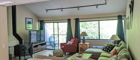 Smart TV, chimenea, reproductor de DVD y libros