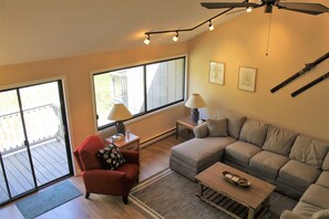 Smart TV, fireplace, DVD player, books