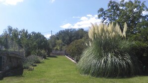 A grassy area with a stone bridge, trees, and tall grasses.