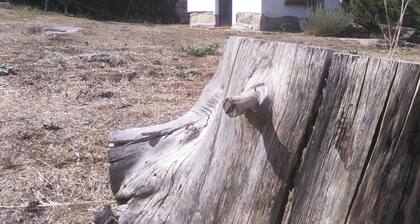 Chalet aislado en plena naturaleza con acceso a playa de río