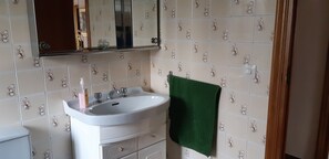 Combined shower/tub, bidet, towels, shampoo