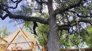 A rustic treehouse with a wooden structure and a thatched roof, surrounded by trees and hanging lanterns. -  Romantic Lakefront Escape: Massage, Yoga, Winery, Kayaks, SUPs, Krause Springs! (Spicewood)