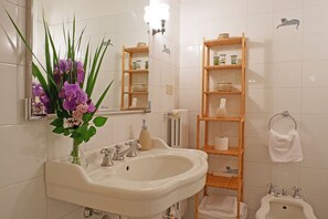 Combined shower/tub, hair dryer, bidet, towels