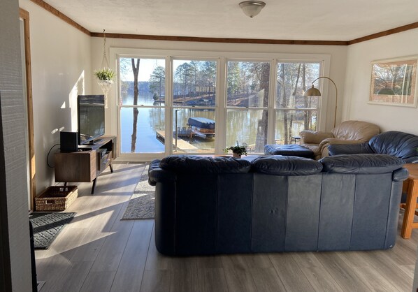 Smart TV, fireplace, books, video library