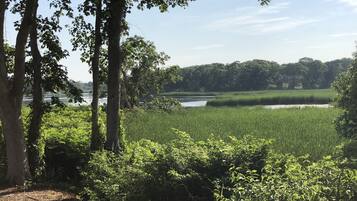 A natural landscape with a body of water, dense greenery, and trees.