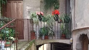 Un estrecho callejón empedrado de piedra con un puente rústico, plantas en macetas y una puerta de madera.