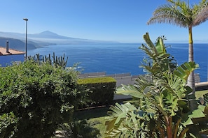 A coastal view with a mountain in the distance, a clear sky, and lush greenery including banana plants. - Villa Los Alisios en Tacoronte (Tacoronte)