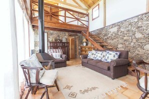 TV, fireplace, books, offices