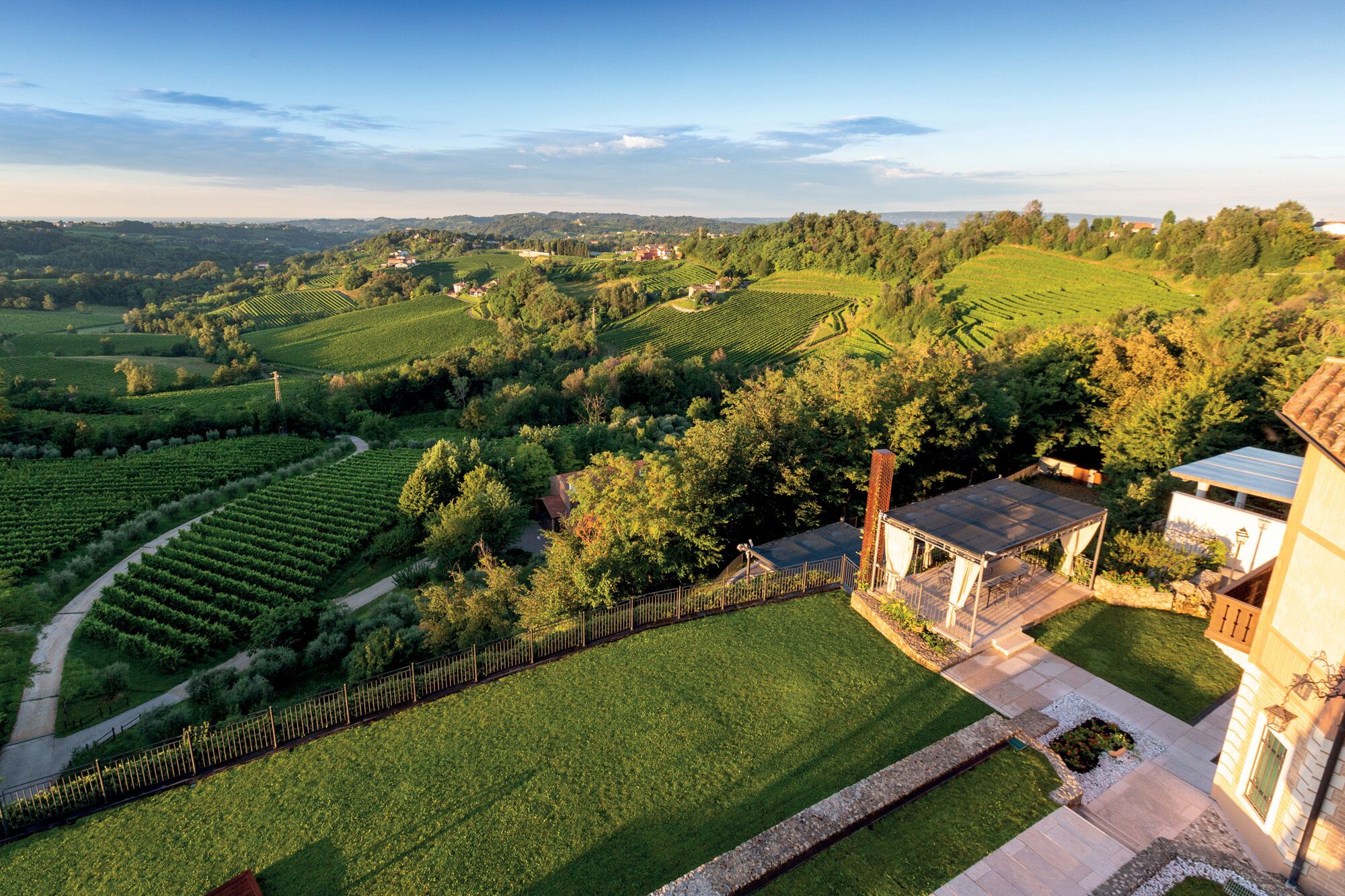 A vineyard with terraced fields, a small building with a roof, and a paved pathway.