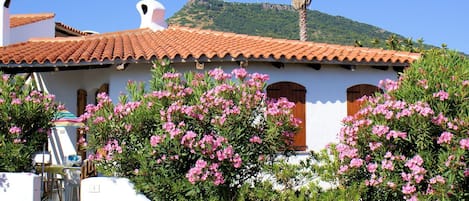 A white building with a tiled roof and pink flowering bushes in front.