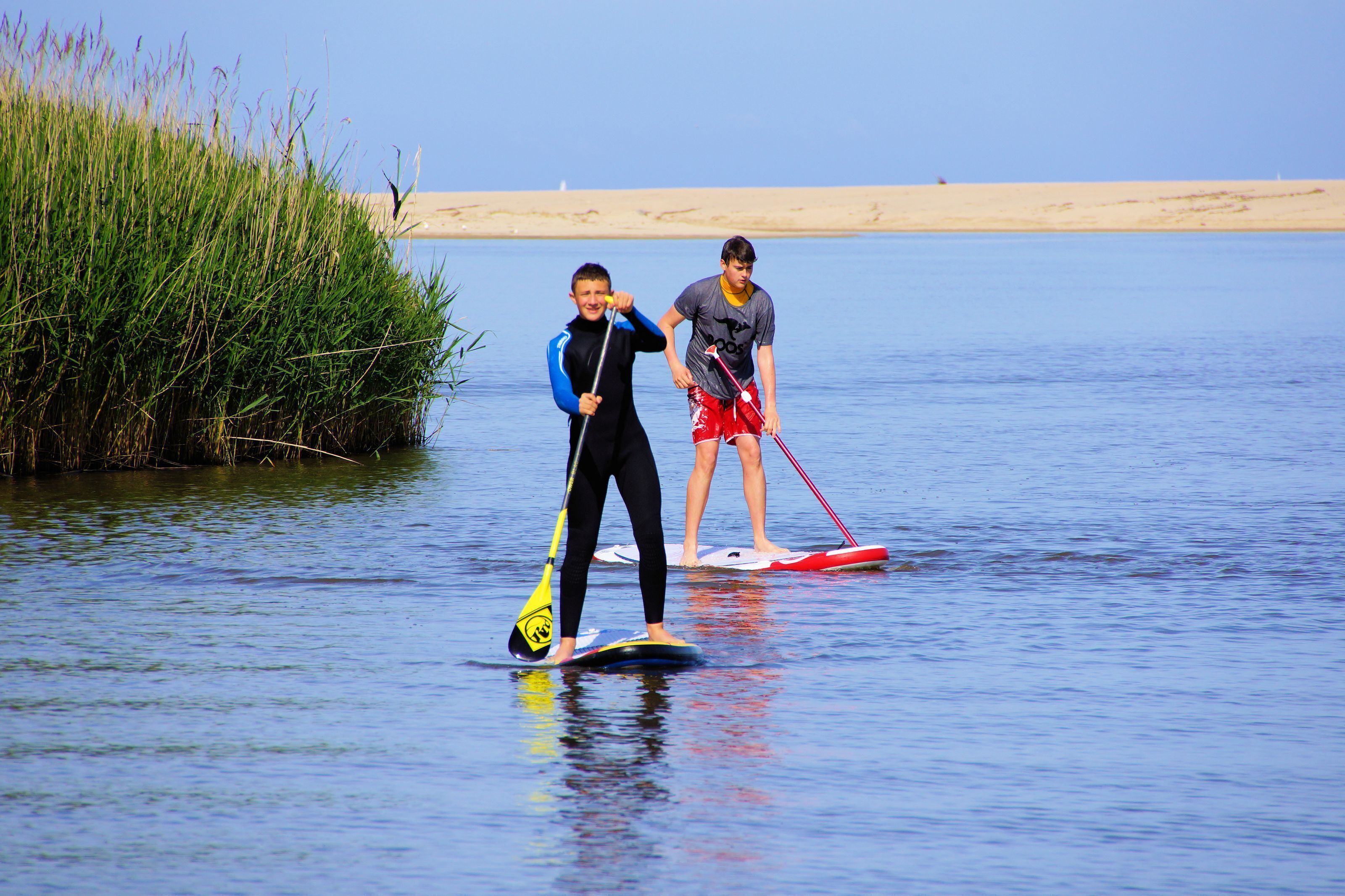 Dos personas haciendo paddleboard en aguas tranquilas, con una playa de arena y vegetación al fondo.