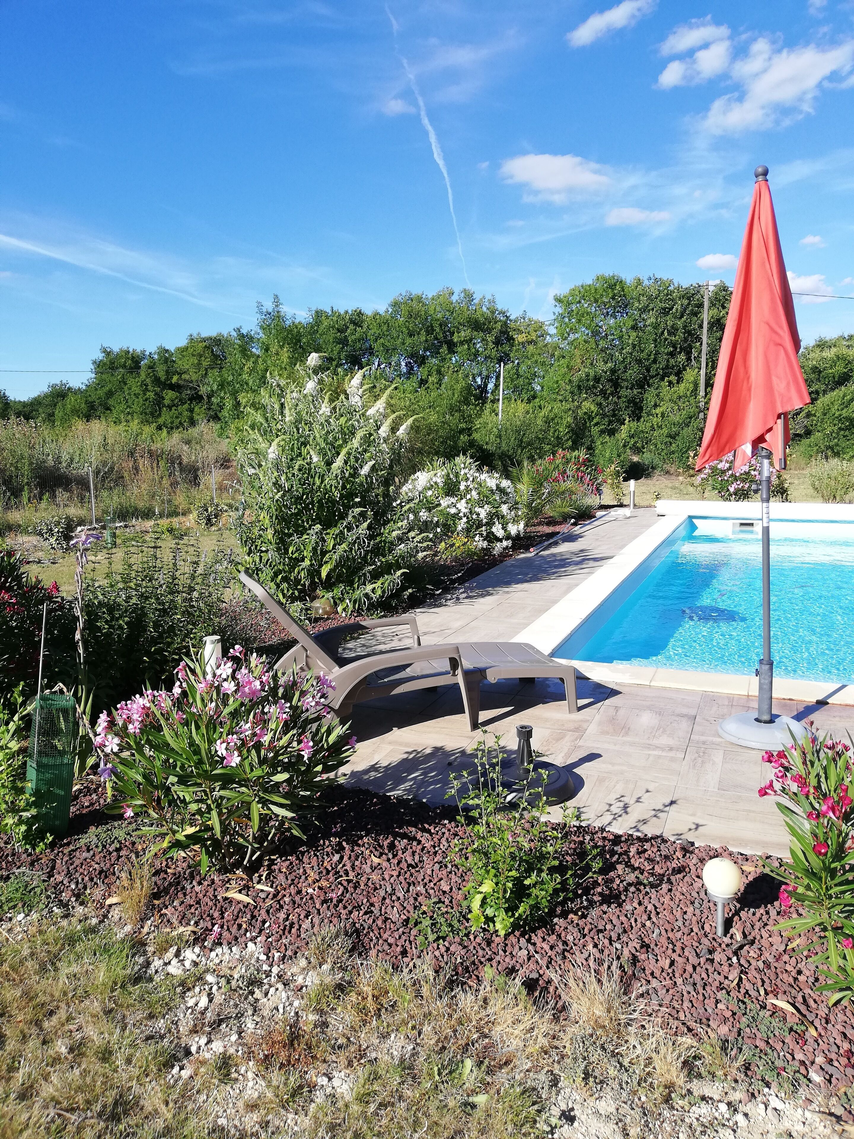 A swimming pool with a red umbrella, surrounded by a garden with various plants and a patio area with a lounge chair.