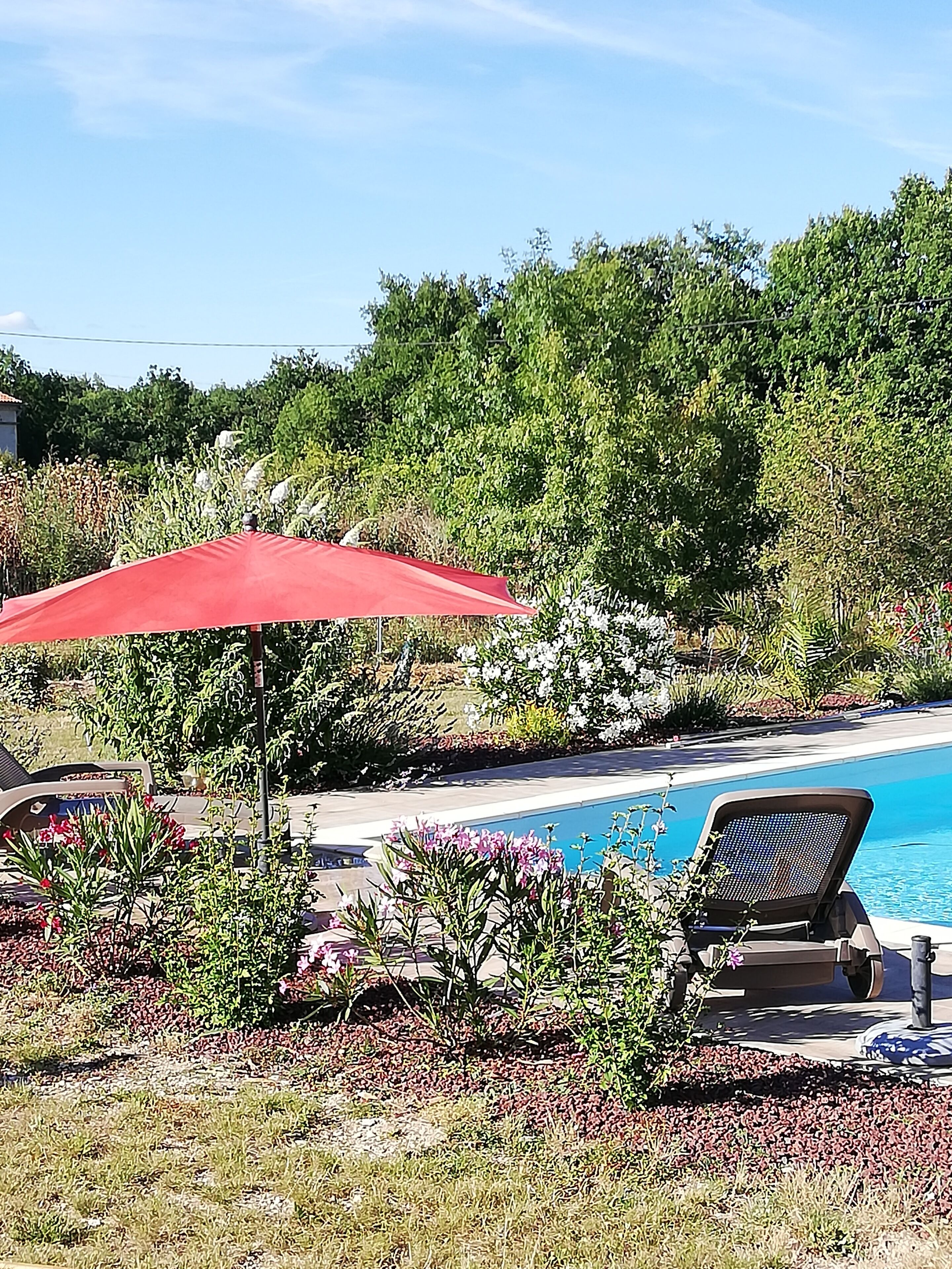 Uma área ao lado da piscina com um guarda-sol vermelho, espreguiçadeiras e diversas plantas e arbustos.