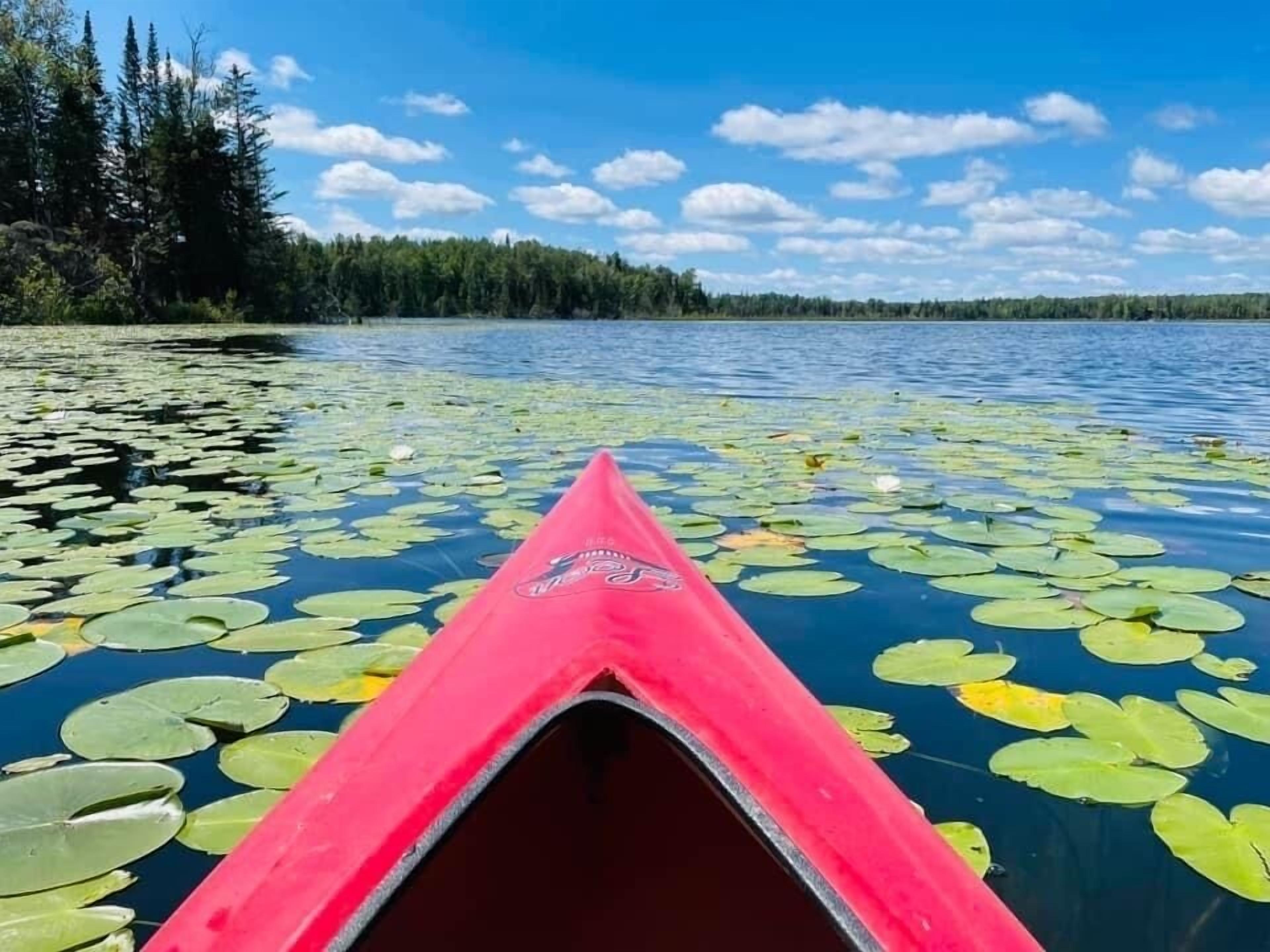 Water's Edge LAKE Cabin ~Beach~Kayaks~Wifi~SUP Board~Campfire~State Park Nearby!