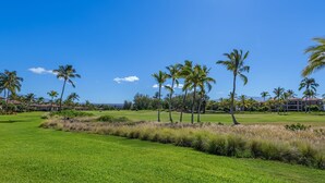 Campo de golf con palmeras y un cielo azul despejado.