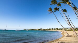 Une plage bordée de palmiers, une eau d’un bleu cristallin et un voilier à l’horizon.