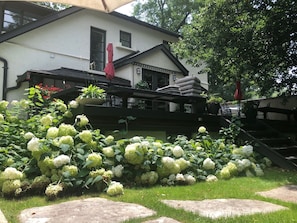 Property grounds - Boutique character home with spa-like pool in bucolic neighbourhood, Port Credit (Mississauga)