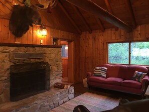 TV connectée, cheminée, jeux vidéo, lecteur de DVD