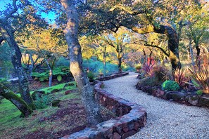 Terrain de l’hébergement 