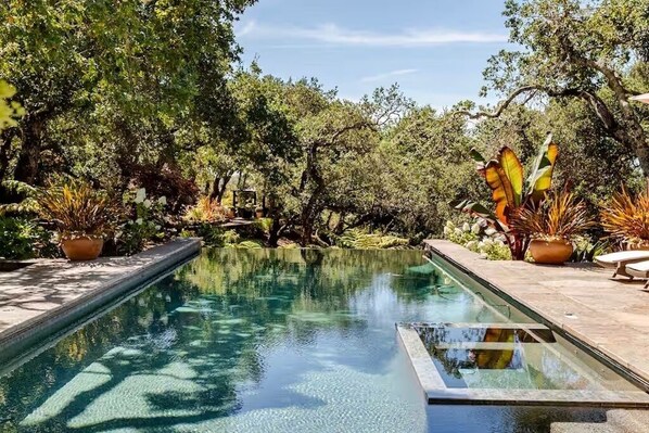 Outdoor pool, an infinity pool, sun loungers
