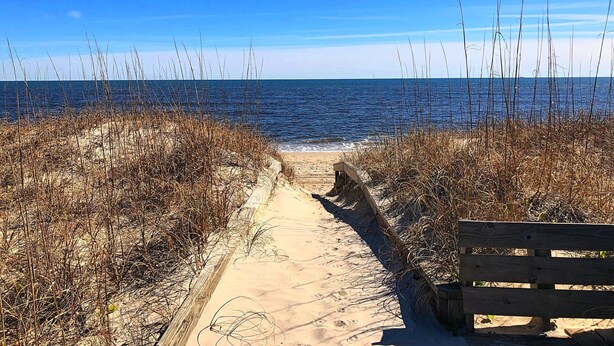 A sandy beach path leading to the ocean, surrounded by dry vegetation.