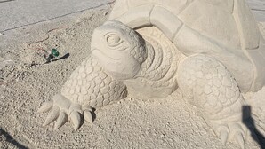 Una gran escultura de arena con forma de tortuga en una playa, bajo un cielo azul claro.