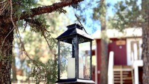 A lantern hanging from a tree branch in a wooded area. - Cozy, Rustic Pine Ridge Cabin with beautiful views - Midtown Ruidoso (Ruidoso)