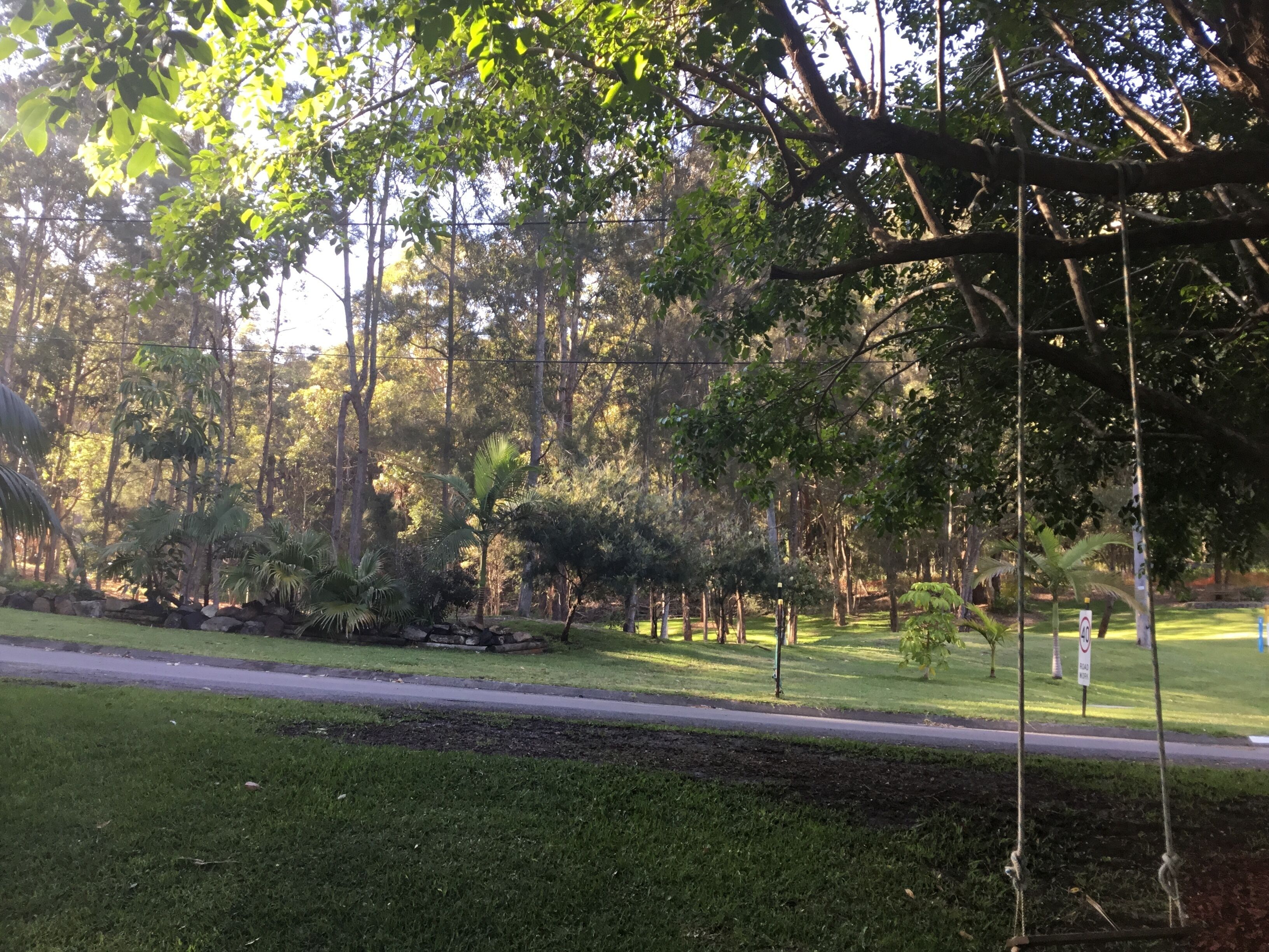 A park with a grassy area, trees, and a swing set.