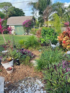 Terrein van de accommodatie