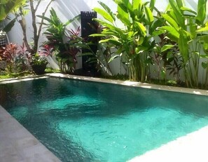 Traditional Villa, 2 Bedrooms, Pool View | Private pool