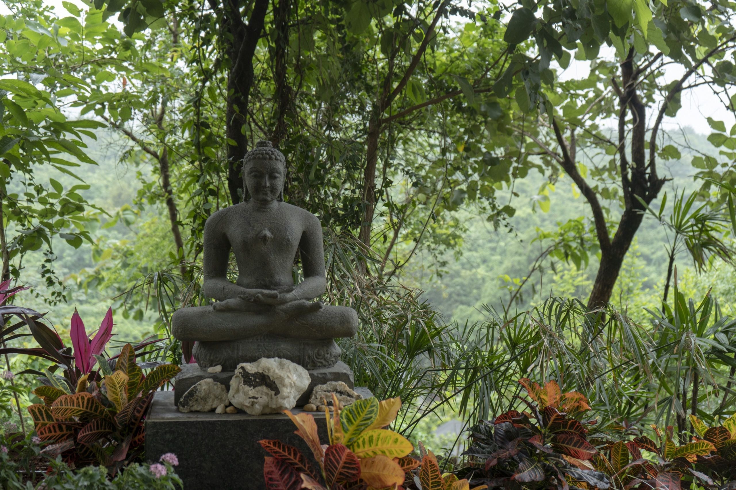 Eine sitzende Buddha-Statue, umgeben von üppigem Grün.