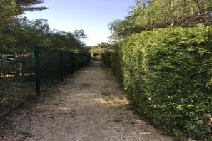 Un camino de grava bordeado por setos densos y una valla de metal.