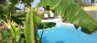 Bella casa di campagna con piscina privata a Elche per 7 persone.
