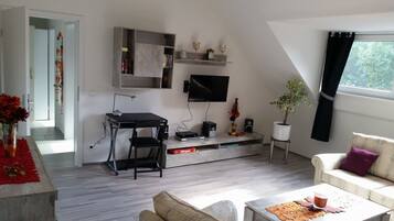 Flachbildfernseher, DVD-Player, Bücher