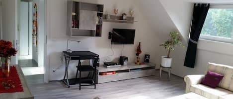 Flat-screen TV, DVD player, books