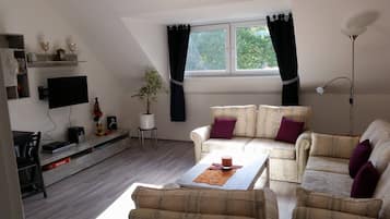 Flat-screen TV, DVD player, books