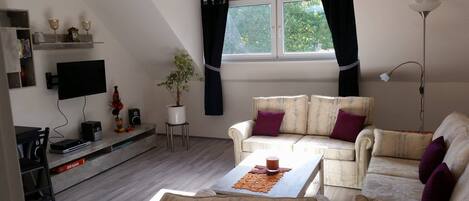 平板电视、DVD 播放器、书