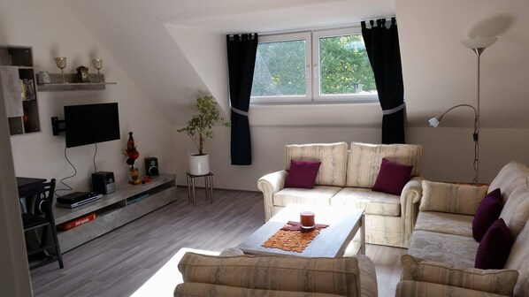 Flatskjerm-TV, DVD-spiller og bøker