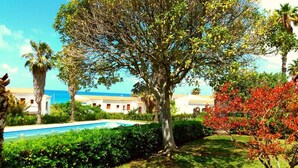 Garden - Florida Beach Residence (Bonifati)