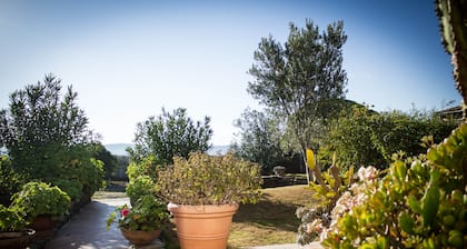 MAISON MAĂTRE ANCIENNE - PARADIS DE KITESURF