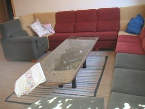 Télévision, cheminée, lecteur de DVD, chaßne hi-fi