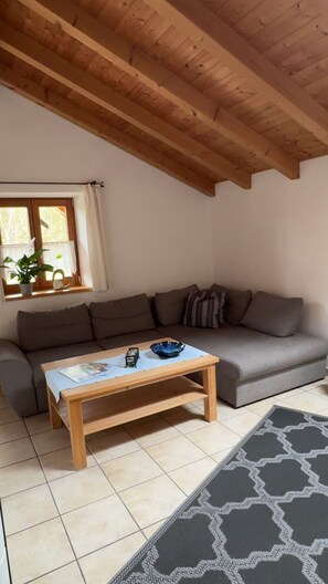 TV, fireplace, books - Beautiful apartment in an ideal location for a relaxing, restful vacation (Hausham - Agathried)