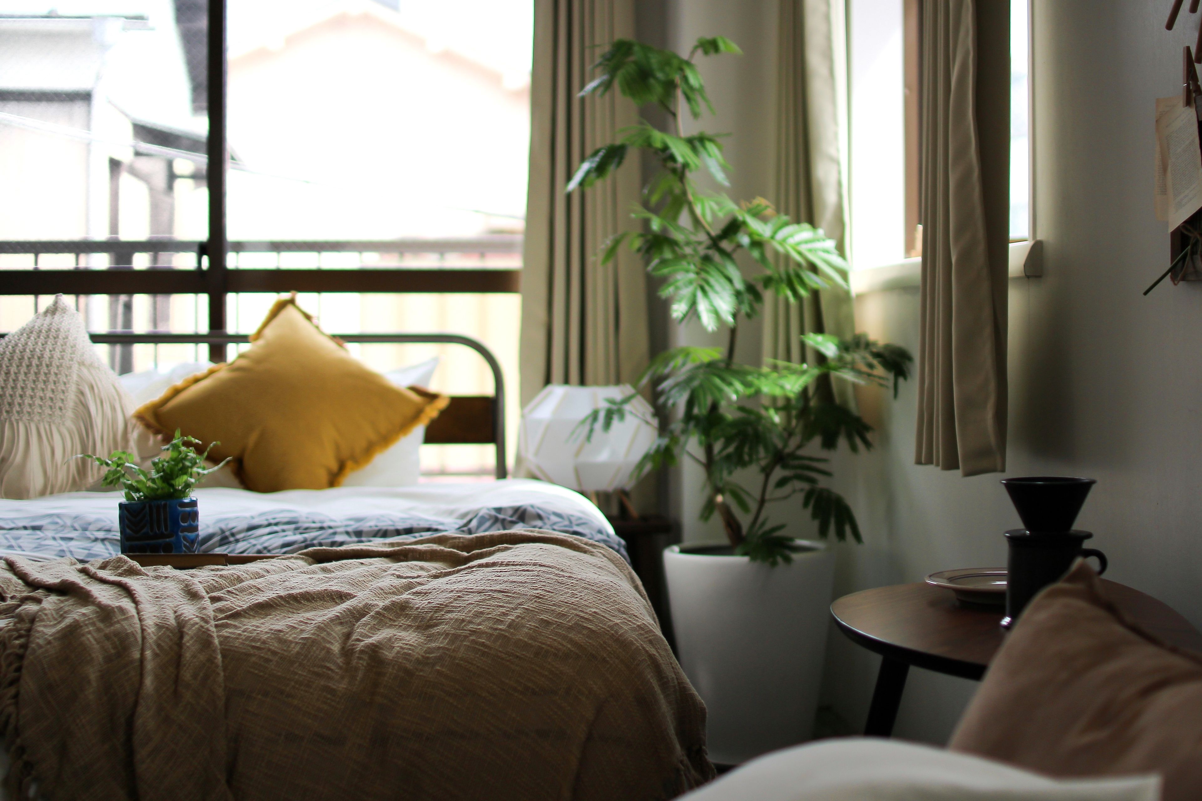 A neatly made bed with a brown blanket, a yellow pillow, and a small potted plant. There is a window with curtains, a lamp, and a small table with a cup and saucer.