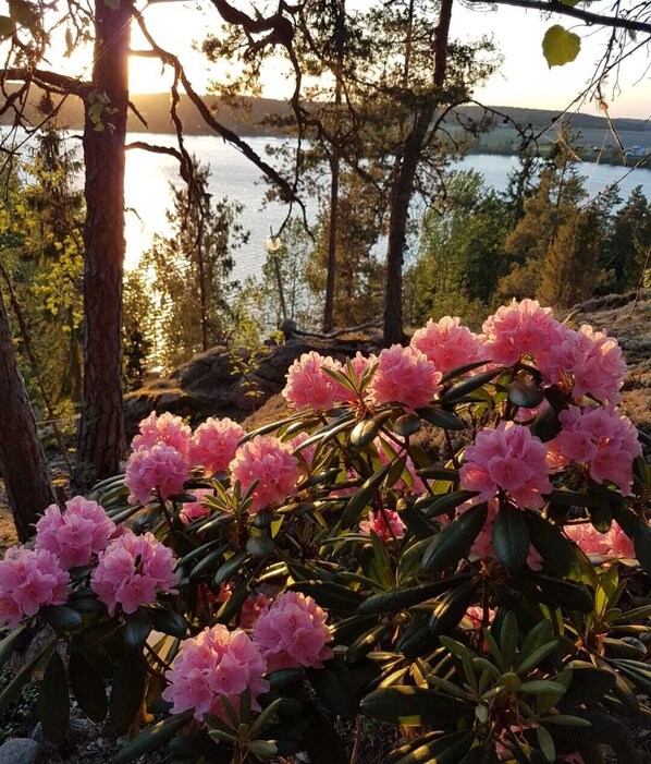 Property grounds - Villa Ahvenkallio, swimming, kayaks, fishing, horse/pony riding, hiking, skiing (Myrskylä)