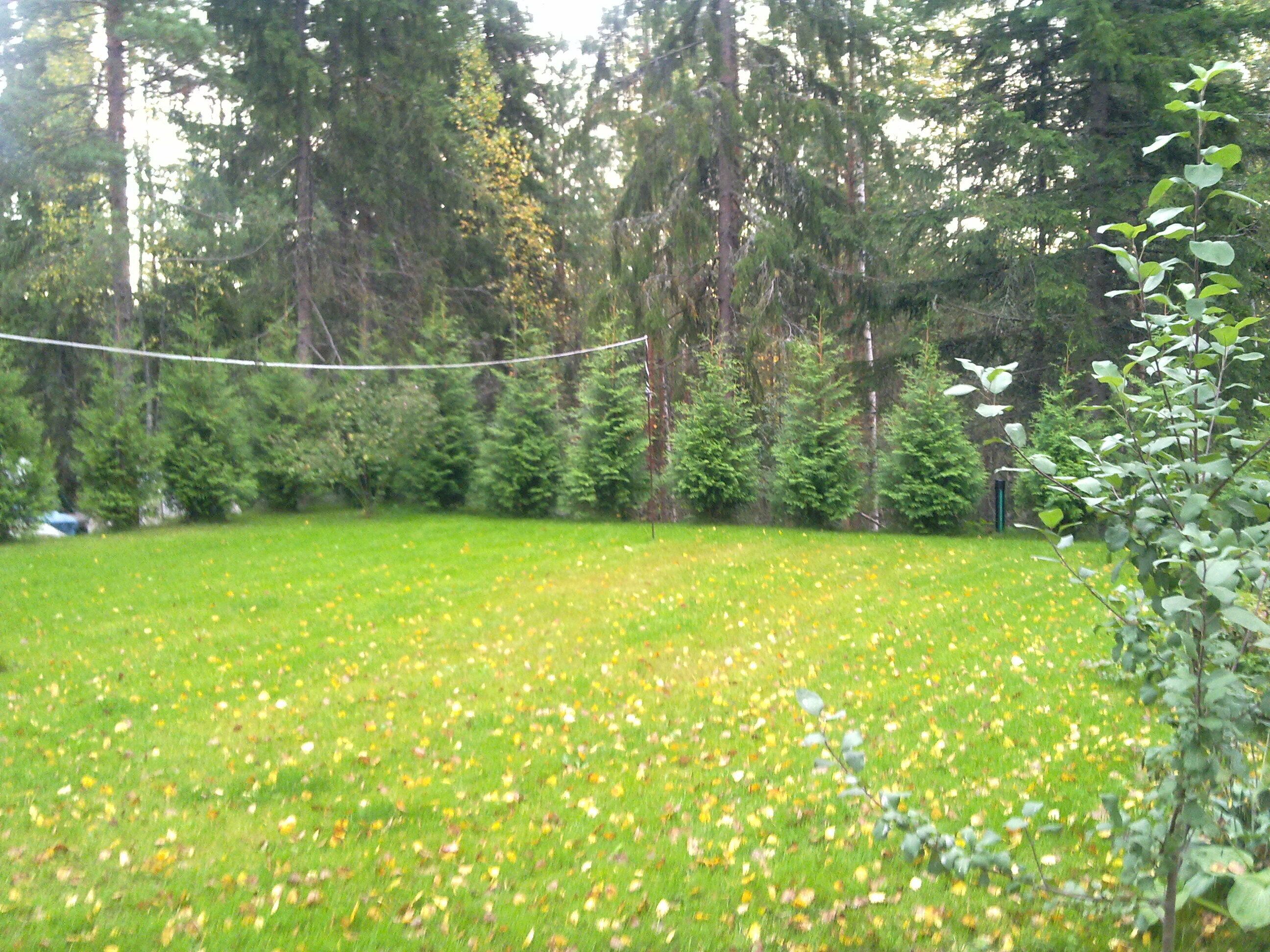 A grassy field with trees in the background.